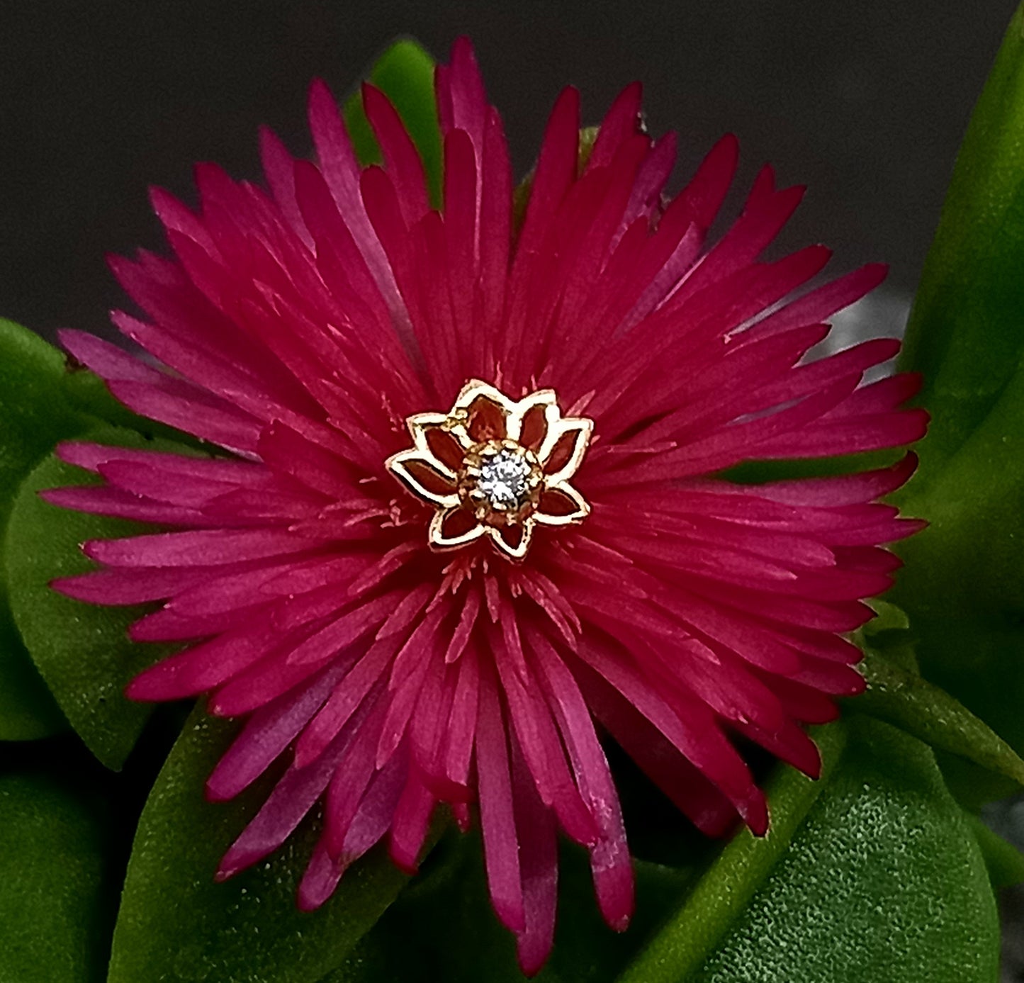 Oro 14k. Flor de loto