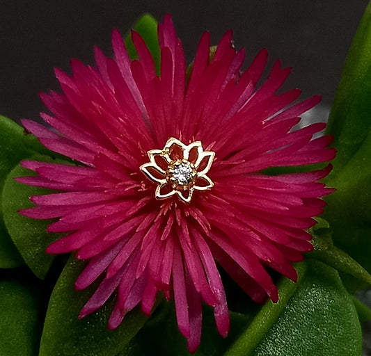 Oro 14k. Flor de loto