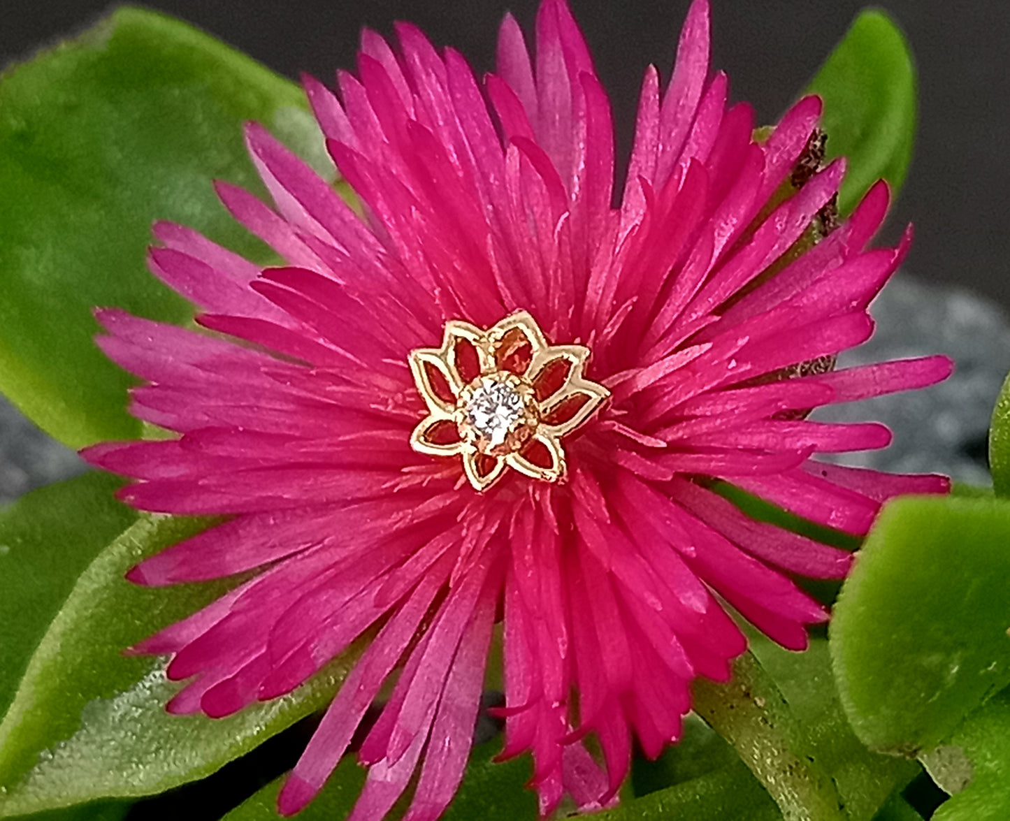Oro 14k. Flor de loto
