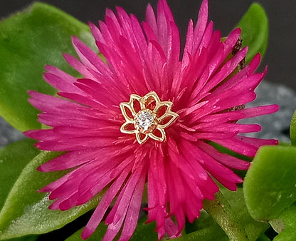 Oro 14k. Flor de loto