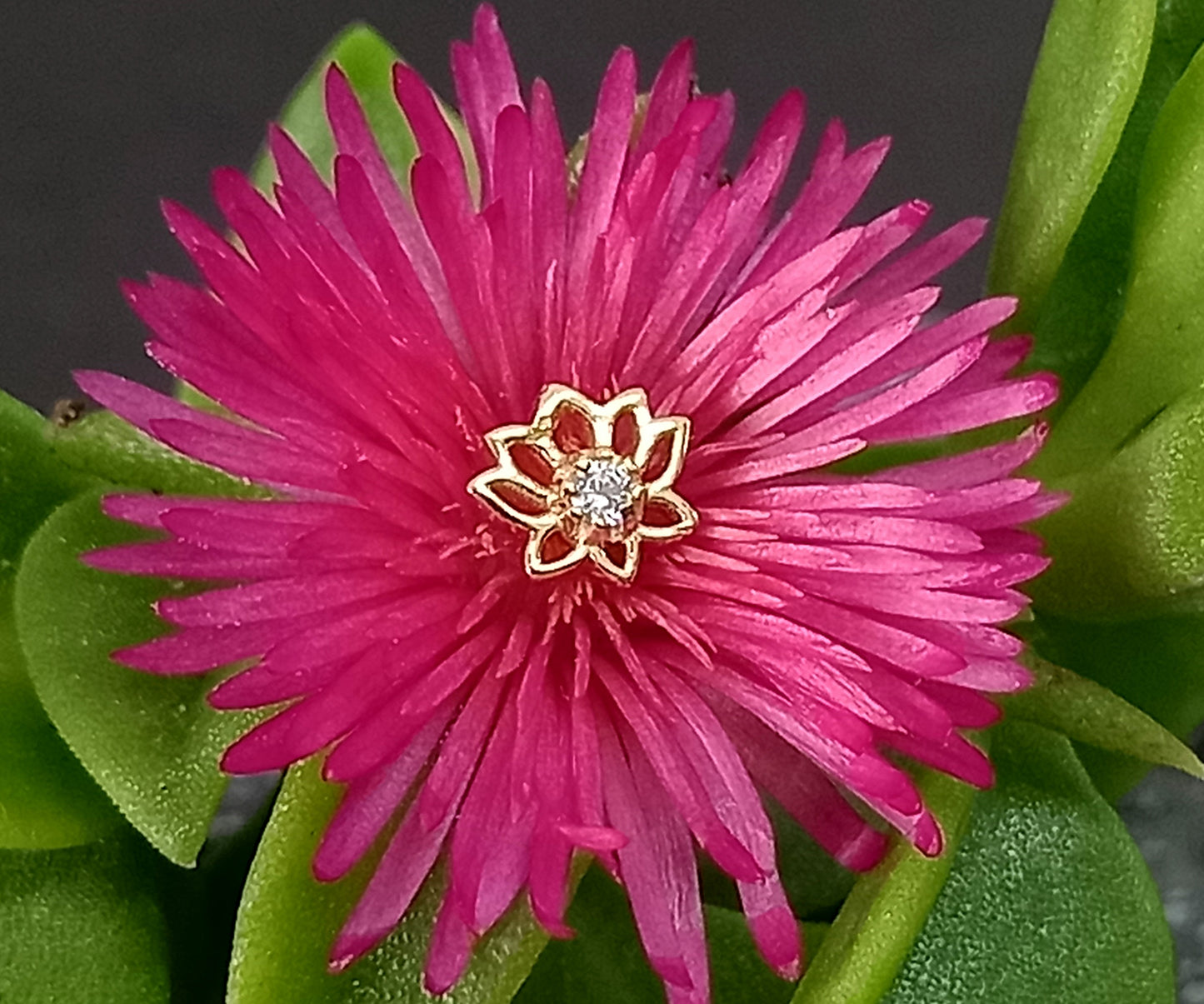 Oro 14k. Flor de loto