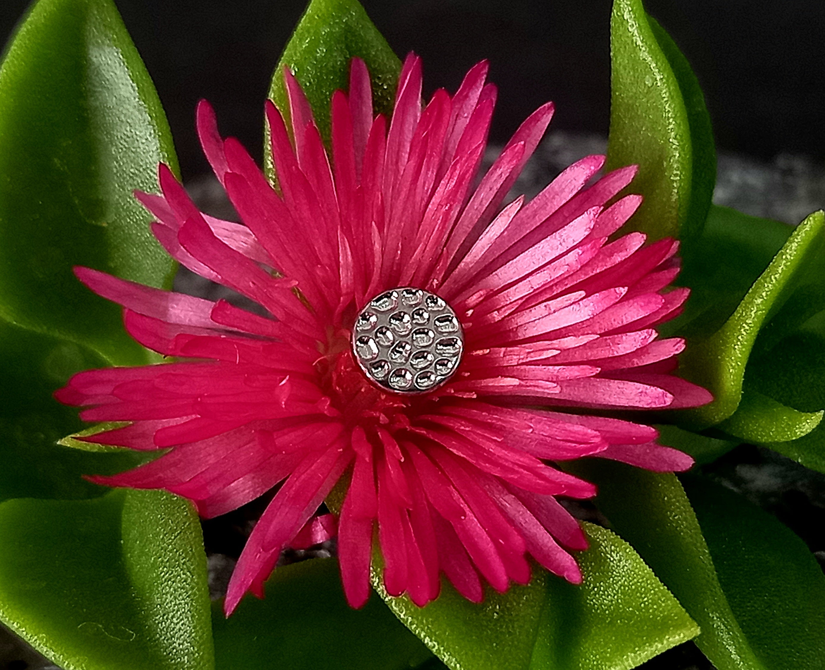 Disco martillado - titanio grado implante ASTM F-136