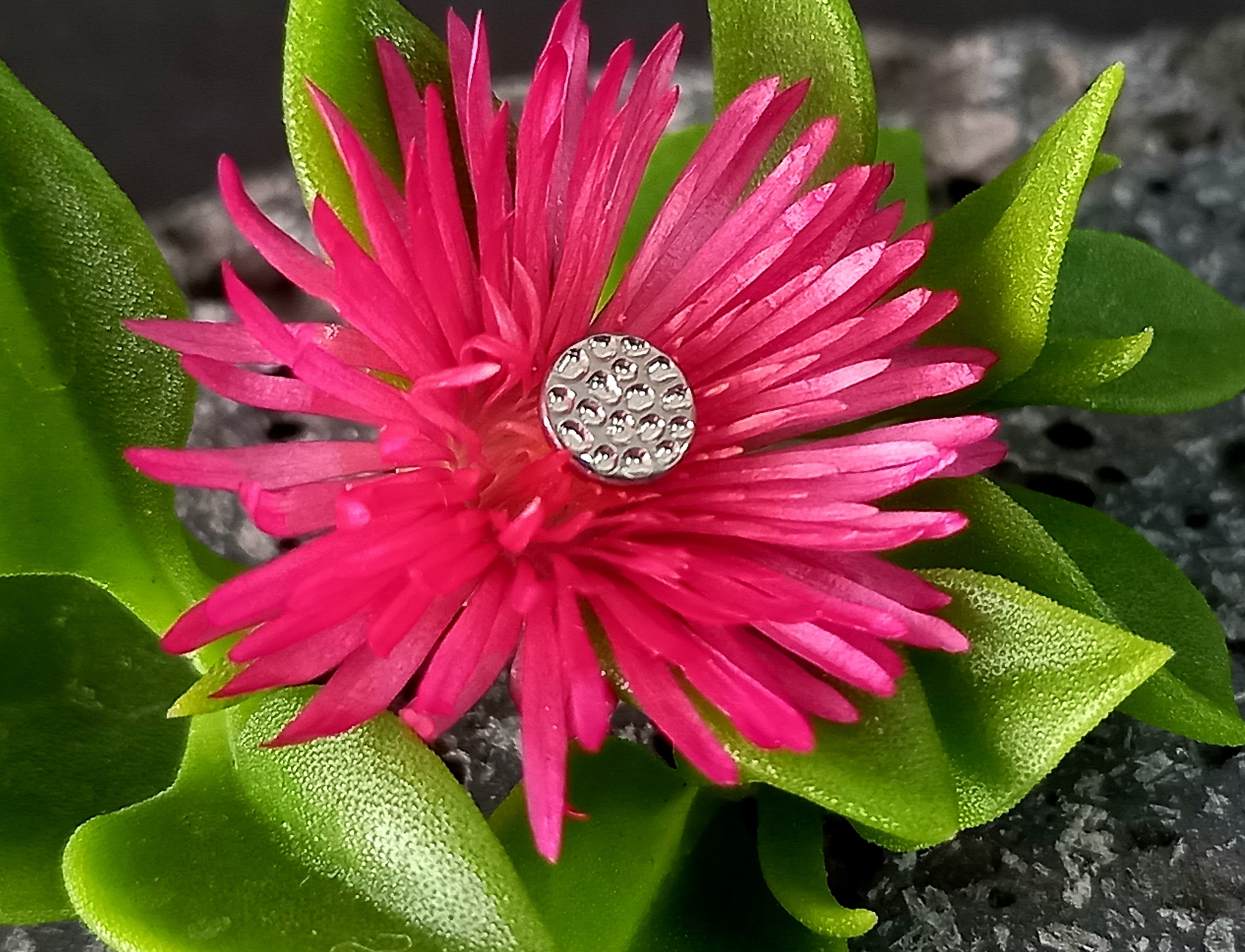 Disco martillado - titanio grado implante ASTM F-136