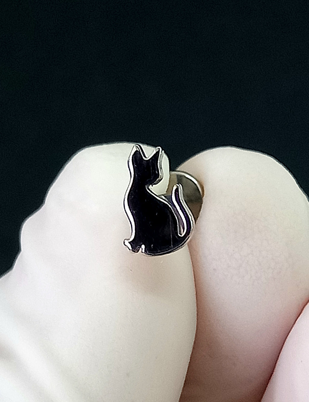 Gato sentado - titanio grado implante ASTM F-136