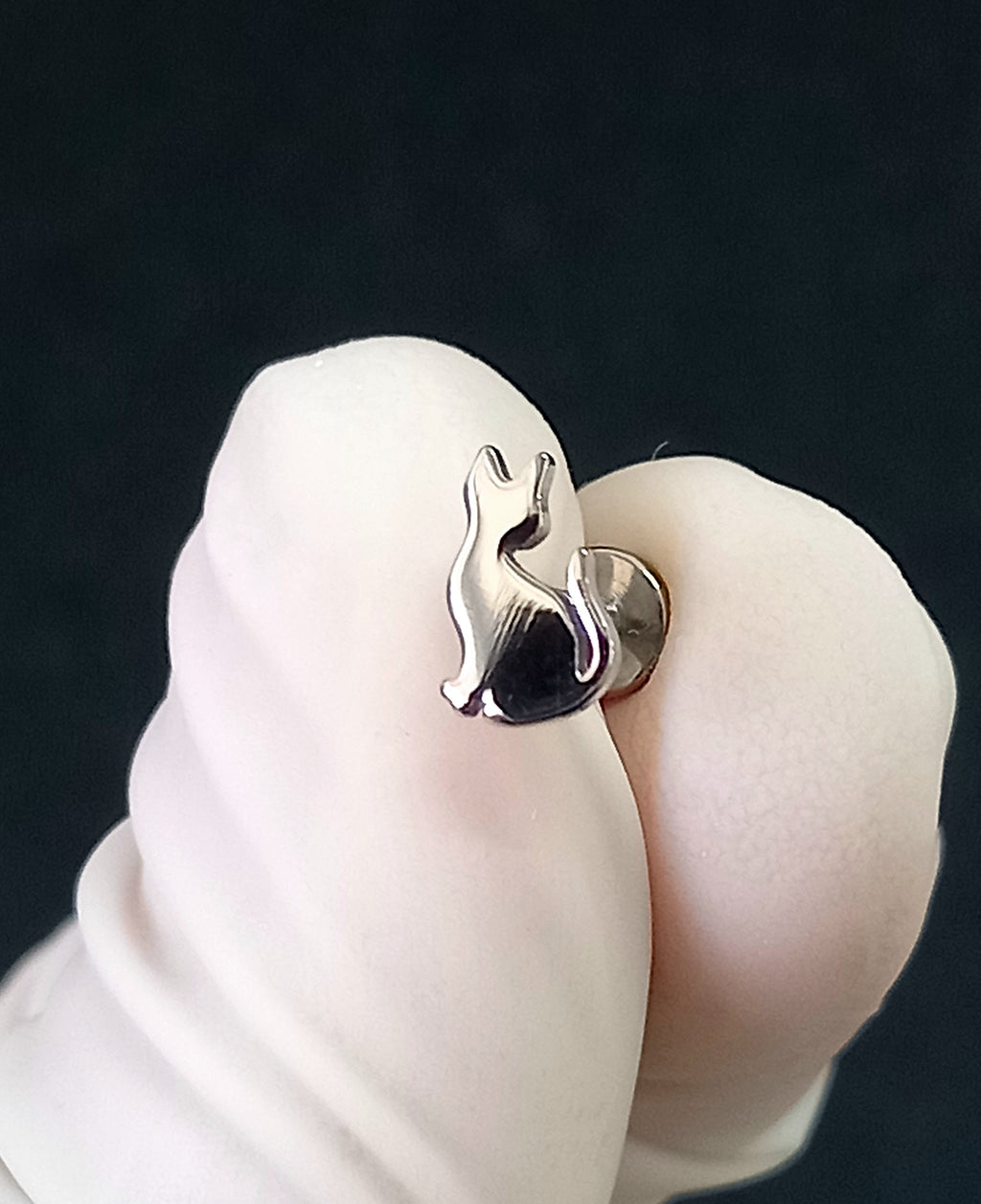 Gato sentado - titanio grado implante ASTM F-136