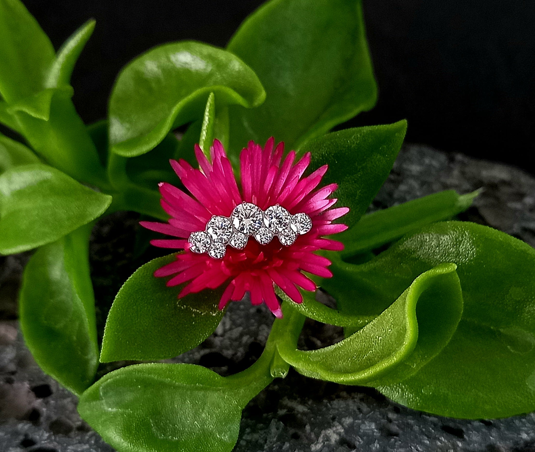 Media luna doble fila clear - titanio grado implante ASTM F-136