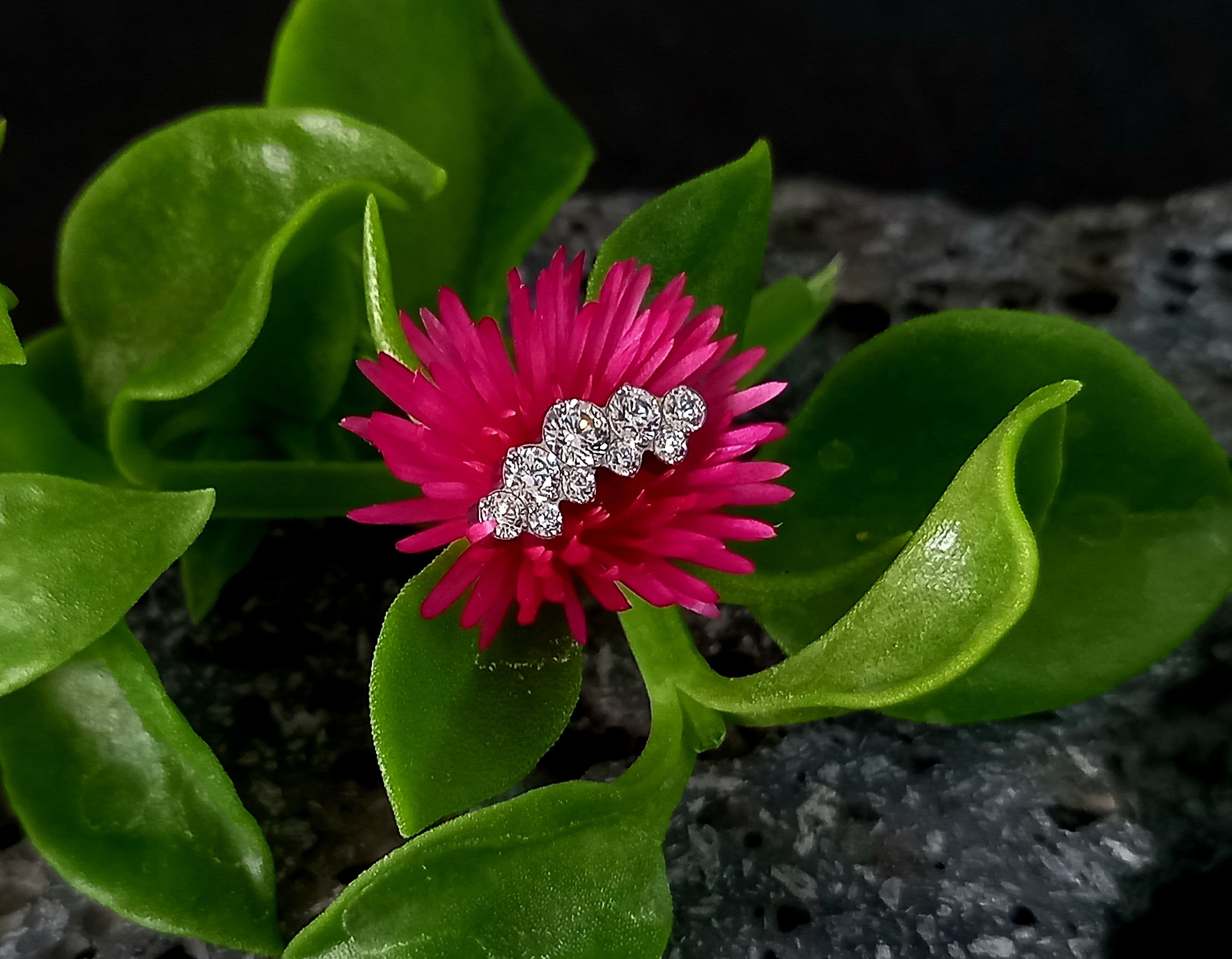 Media luna doble fila clear - titanio grado implante ASTM F-136