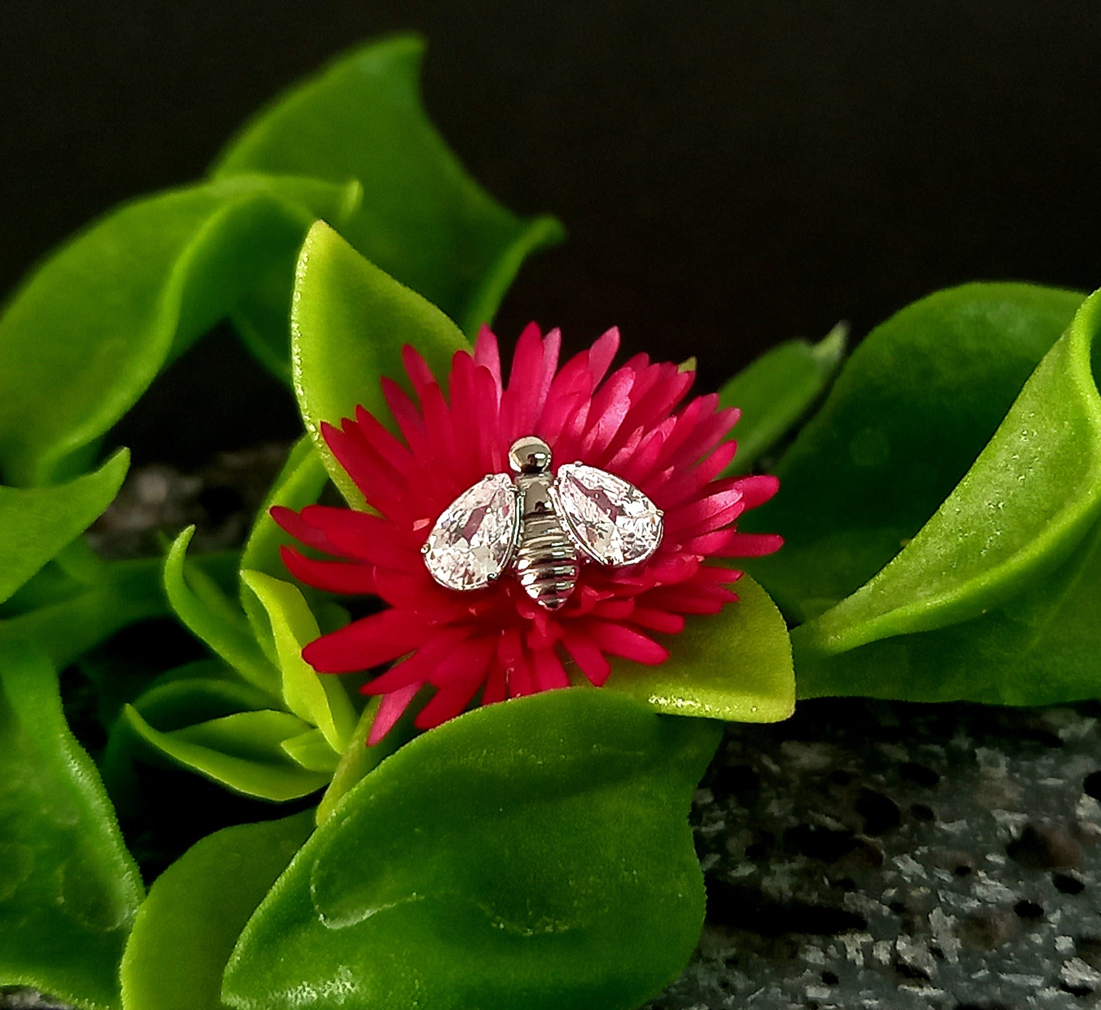 Abeja brillo - titanio grado implante ASTM F-136