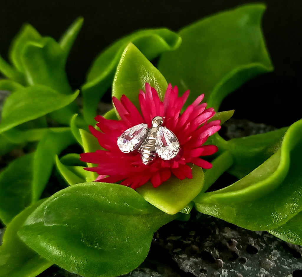 Abeja brillo - titanio grado implante ASTM F-136