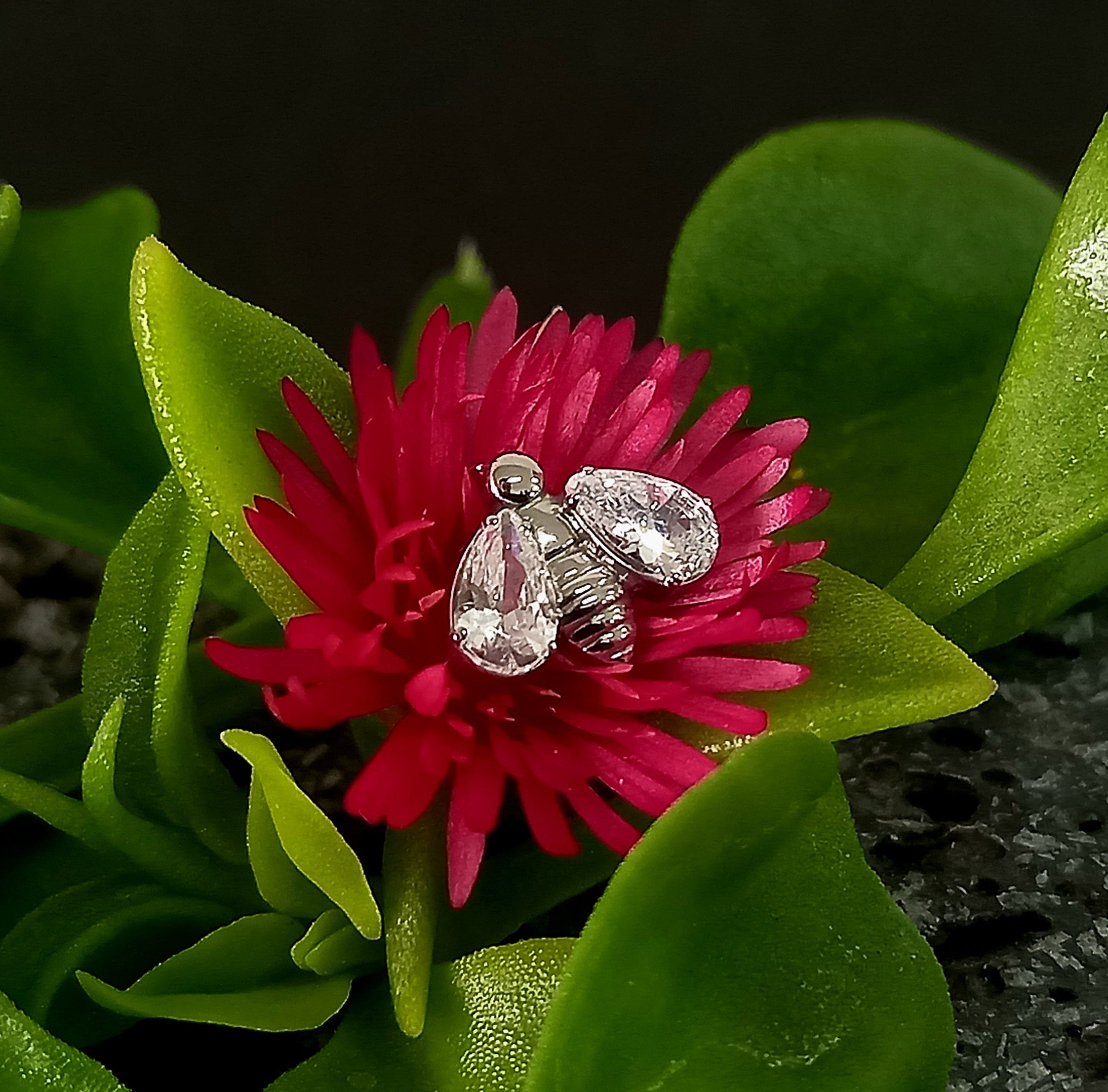 Abeja brillo - titanio grado implante ASTM F-136