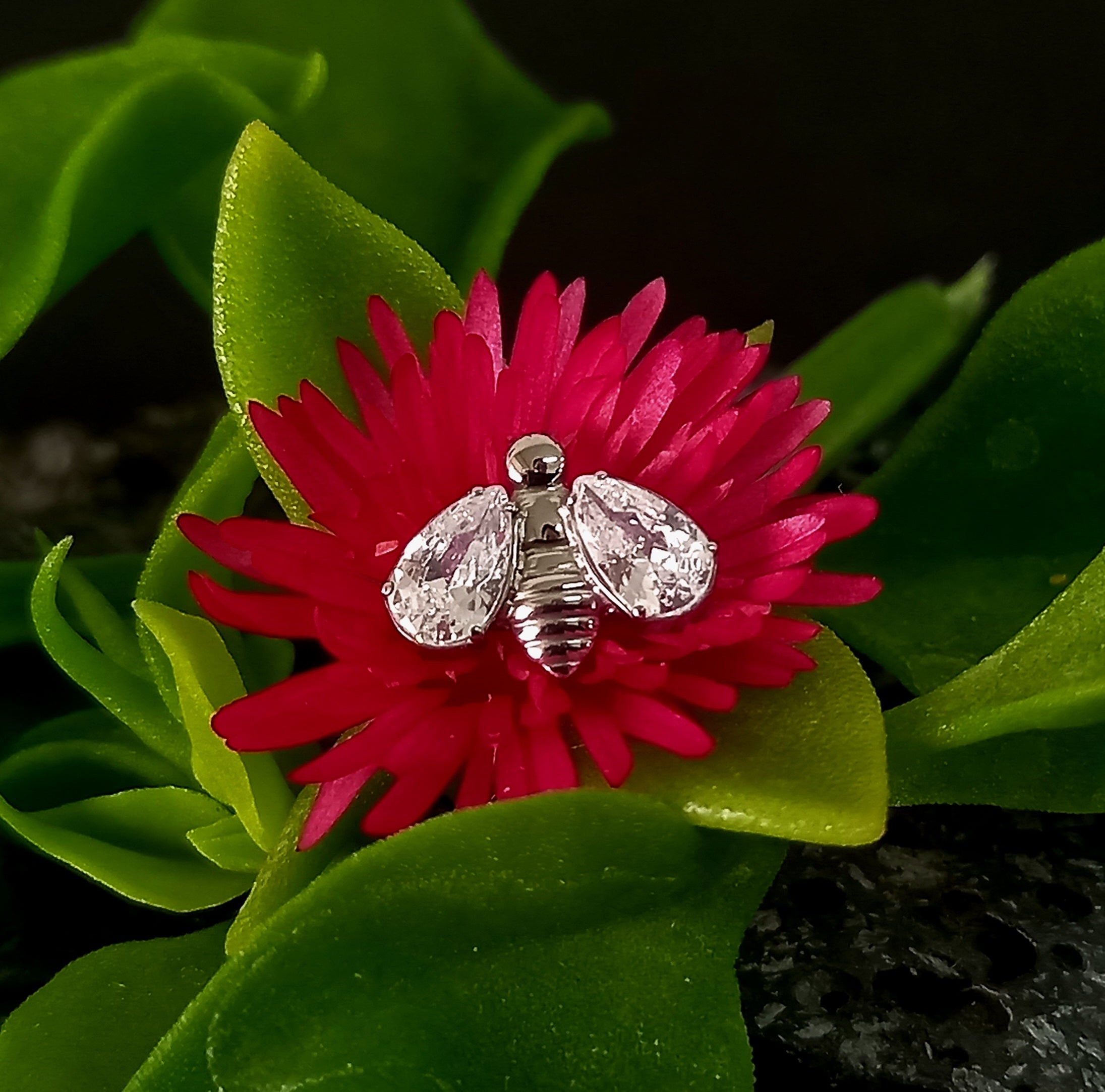 Abeja brillo - titanio grado implante ASTM F-136