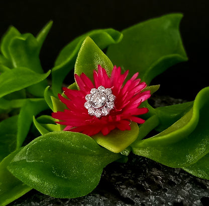 Titanio grado implante. Maxi flor clear