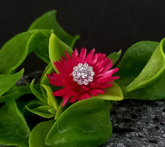 Titanio grado implante. Maxi flor clear