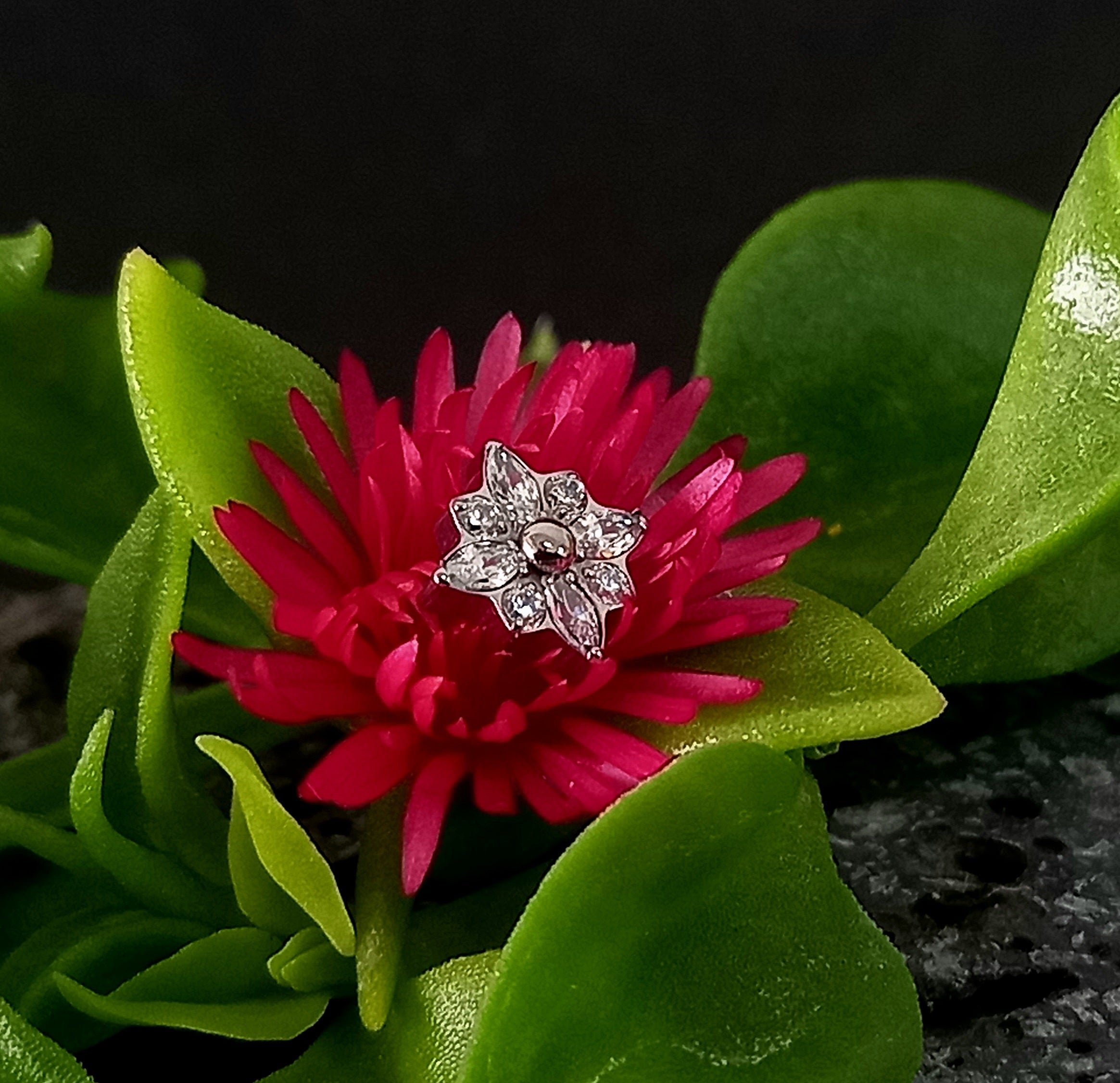 Flor 4 petalos Clear - titanio grado implante ASTM F-136