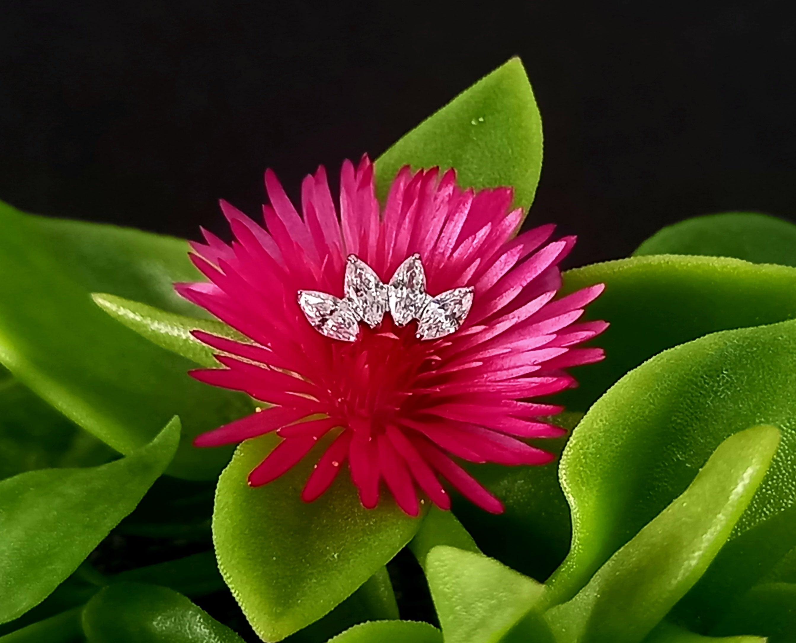 Media luna marquesa 4 puntas - titanio grado implante ASTM F-136