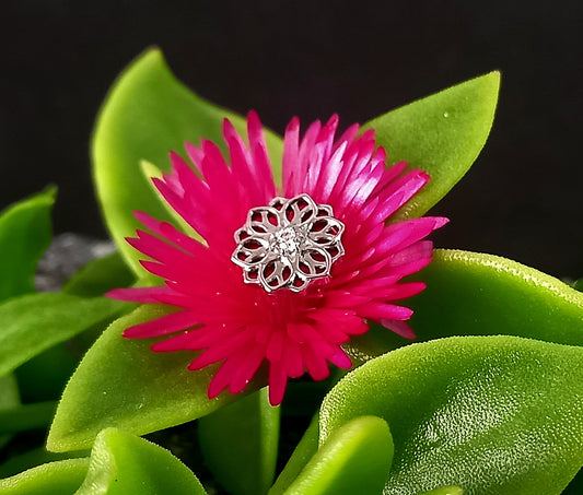 Titanio grado implante. Mandala