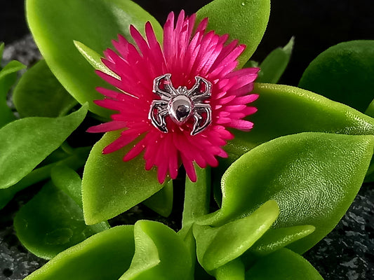 Titanio grado implante. Araña