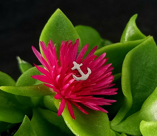 Ancla - titanio grado implante ASTM F-136