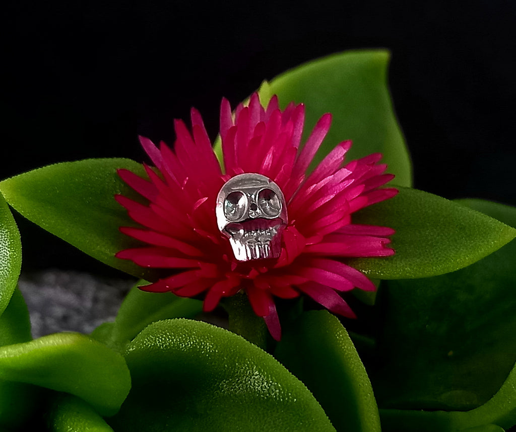 Calavera - titanio grado implante ASTM F-136