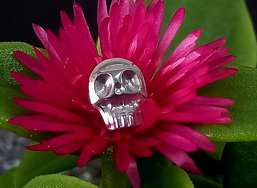 Calavera - titanio grado implante ASTM F-136