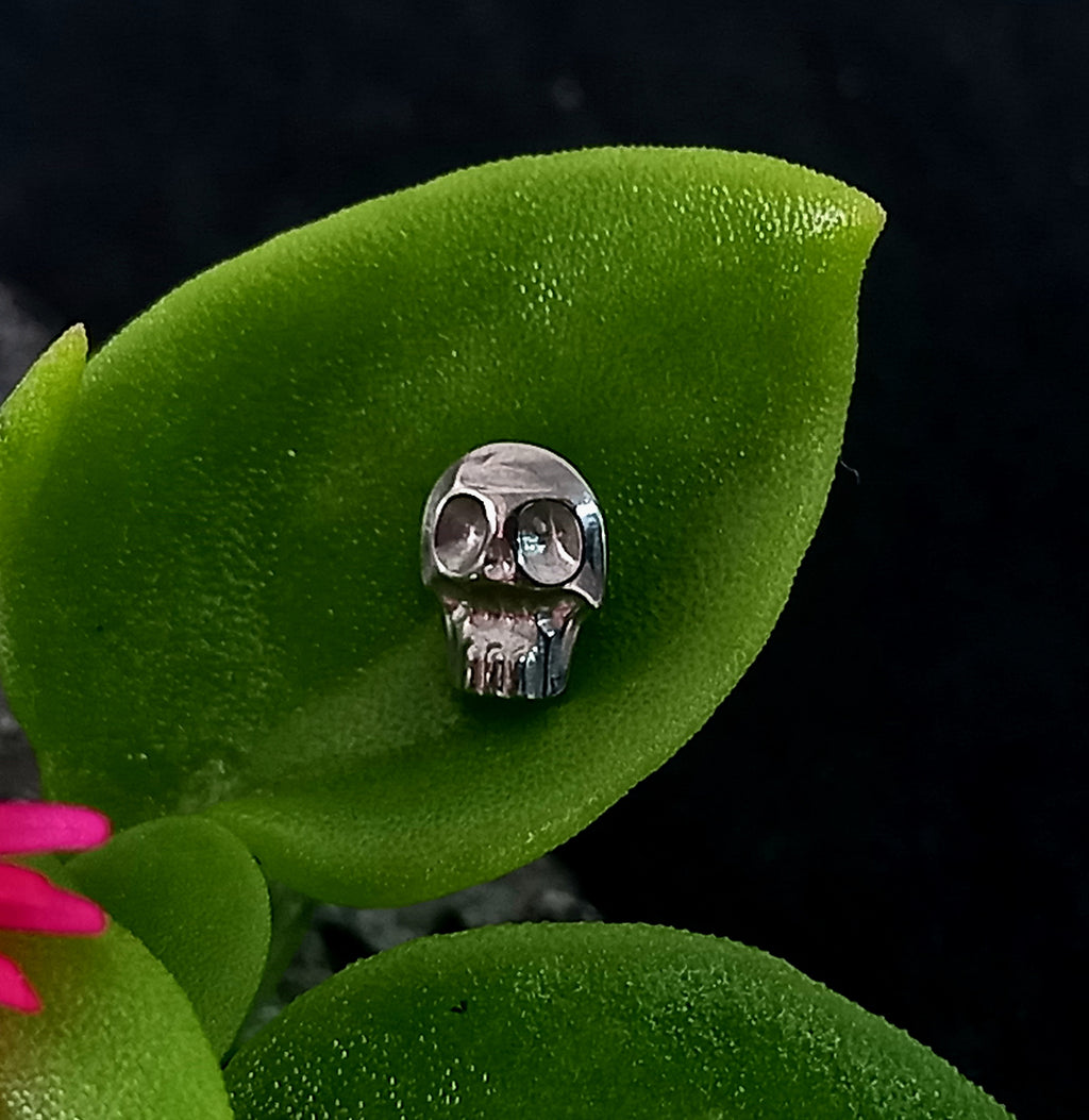 Calavera - titanio grado implante ASTM F-136