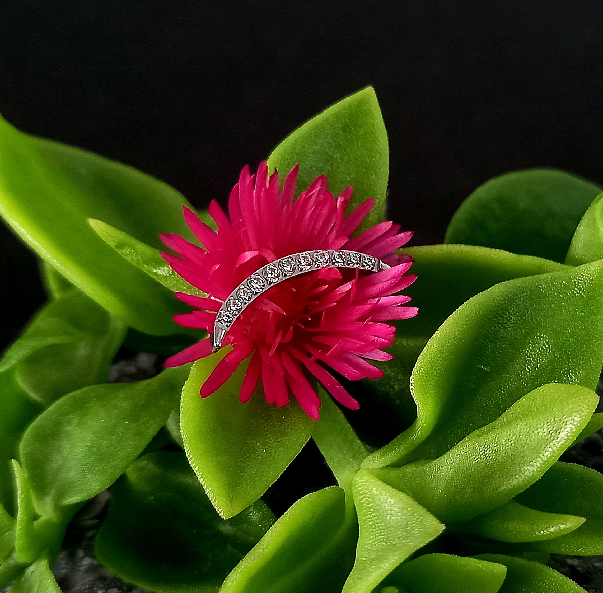 Media luna 9 cristales - titanio grado implante ASTM F-136