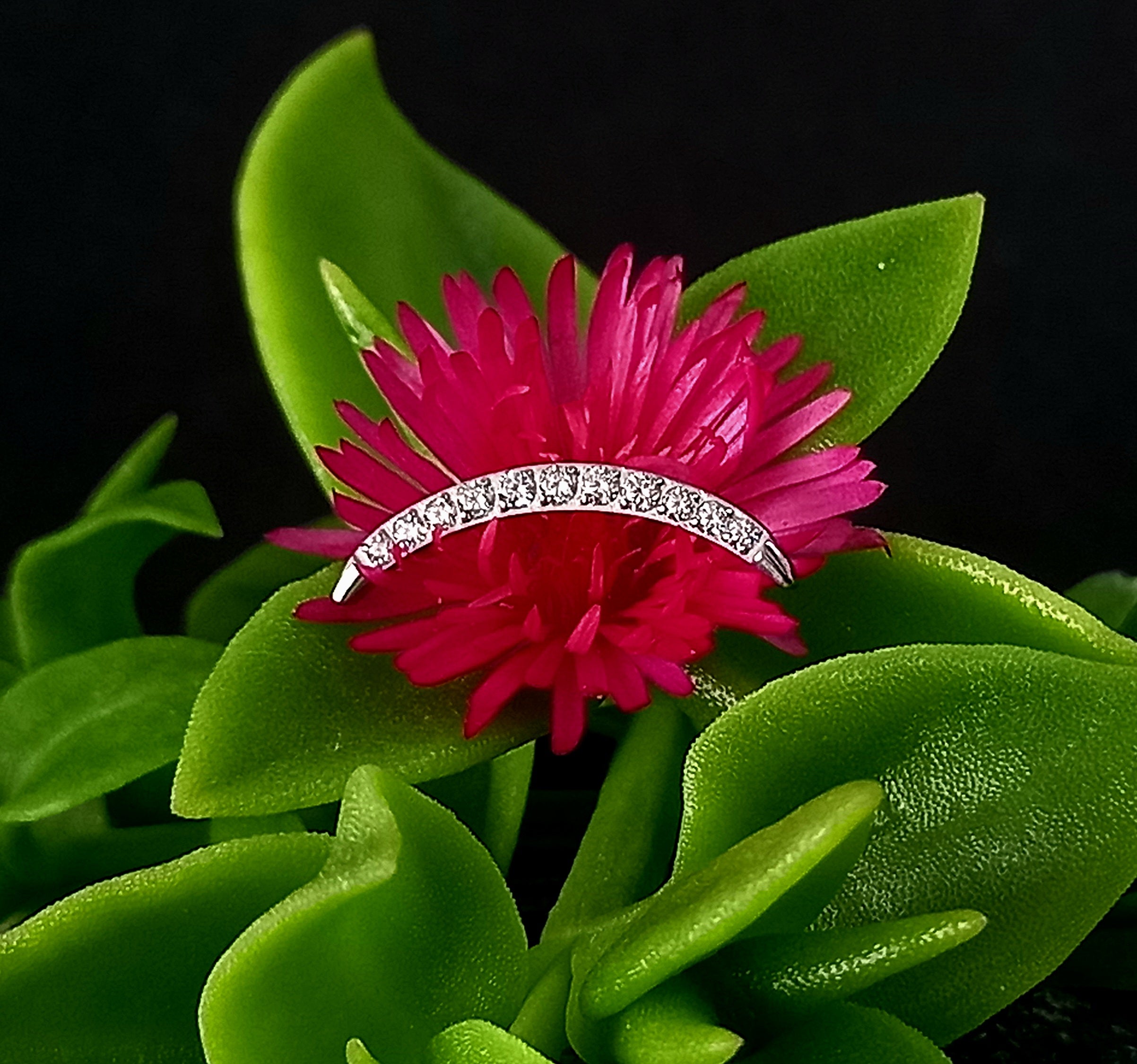 Media luna 9 cristales - titanio grado implante ASTM F-136