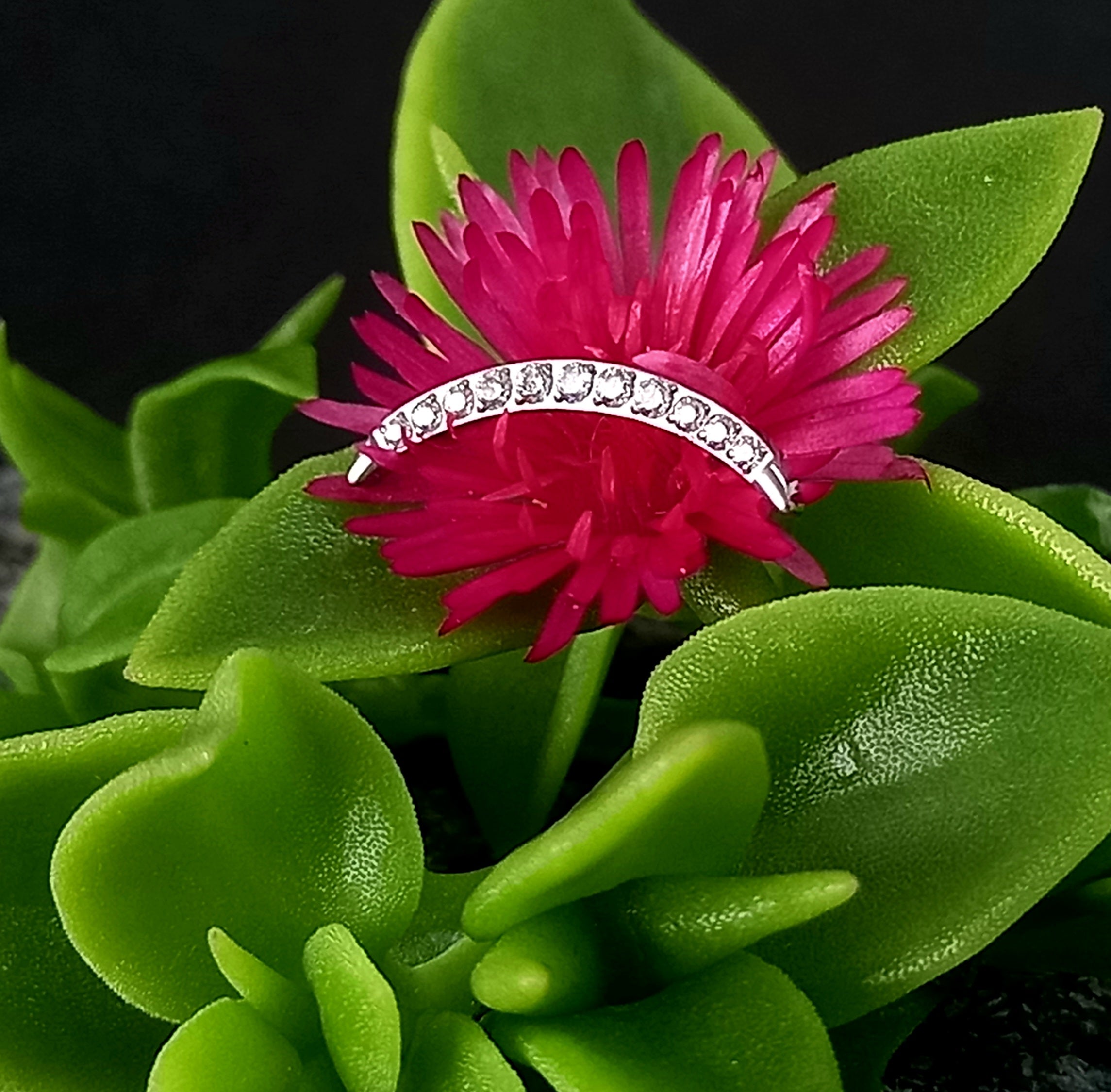 Media luna 9 cristales - titanio grado implante ASTM F-136