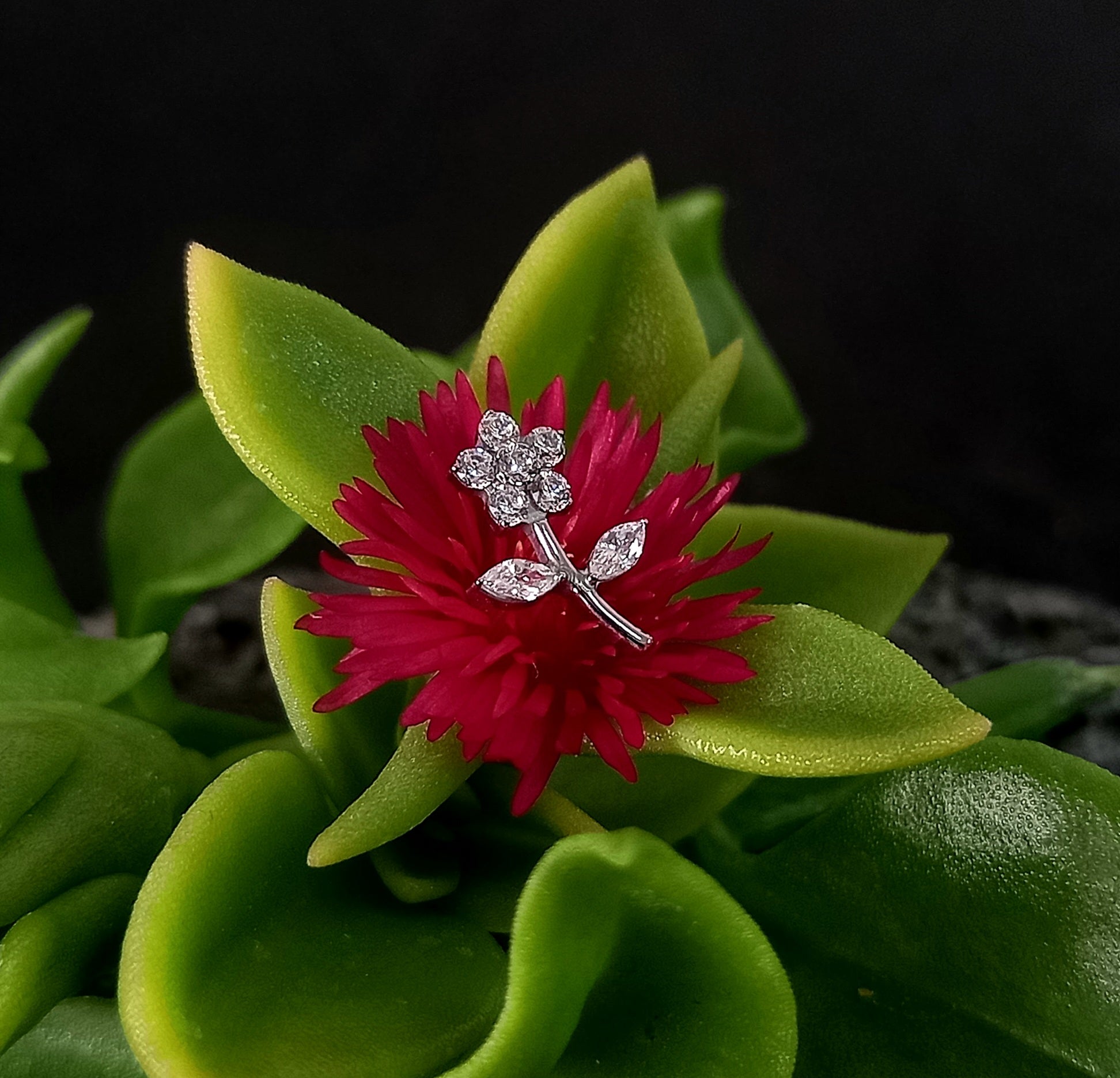 Flor con tallo clear - titanio grado implante ASTM F-136