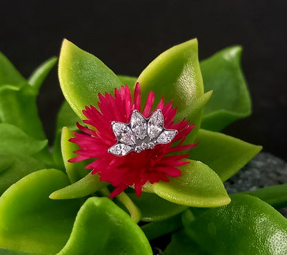 Titanio grado implante. Cinco marquesa con zircon clear