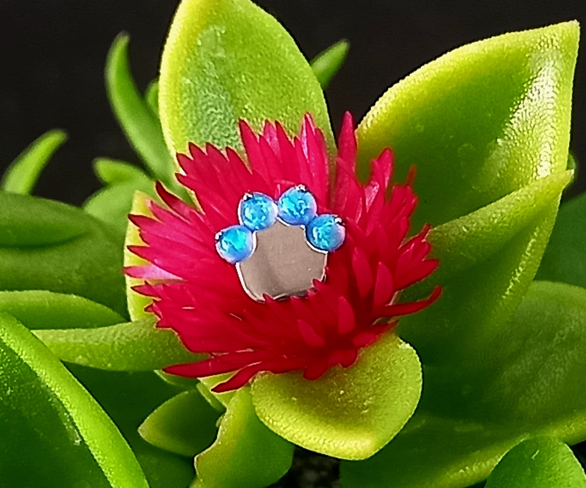 Patita de ópalo azul - titanio grado implante ASTM F-136