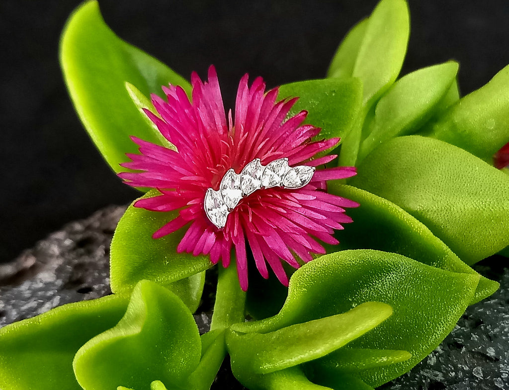 Media luna marquesa 5 puntas lateral  - titanio grado implante ASTM F-136