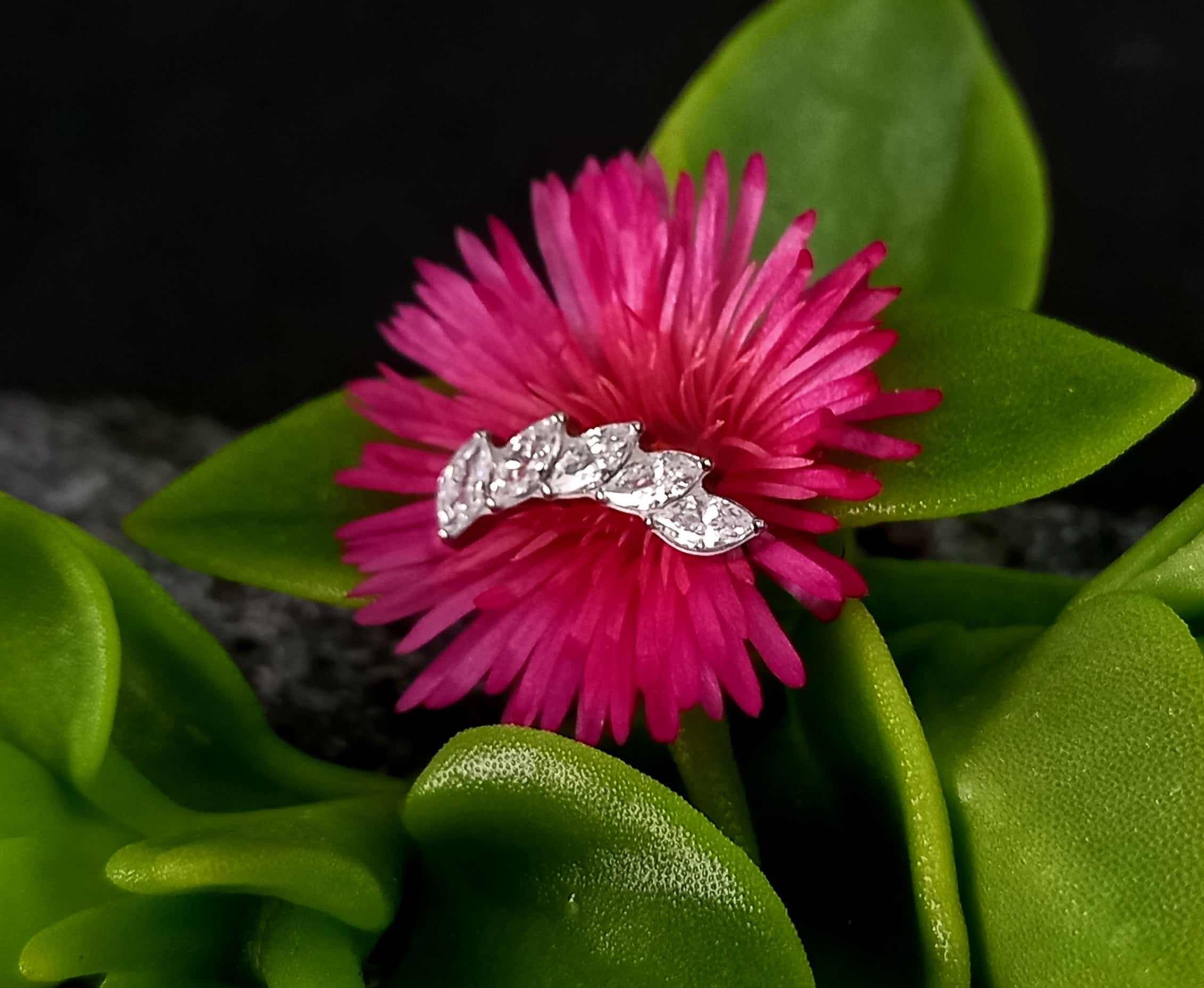 Media luna marquesa 5 puntas lateral  - titanio grado implante ASTM F-136