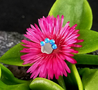 Titanio grado implante. Patita de perro opalo azul