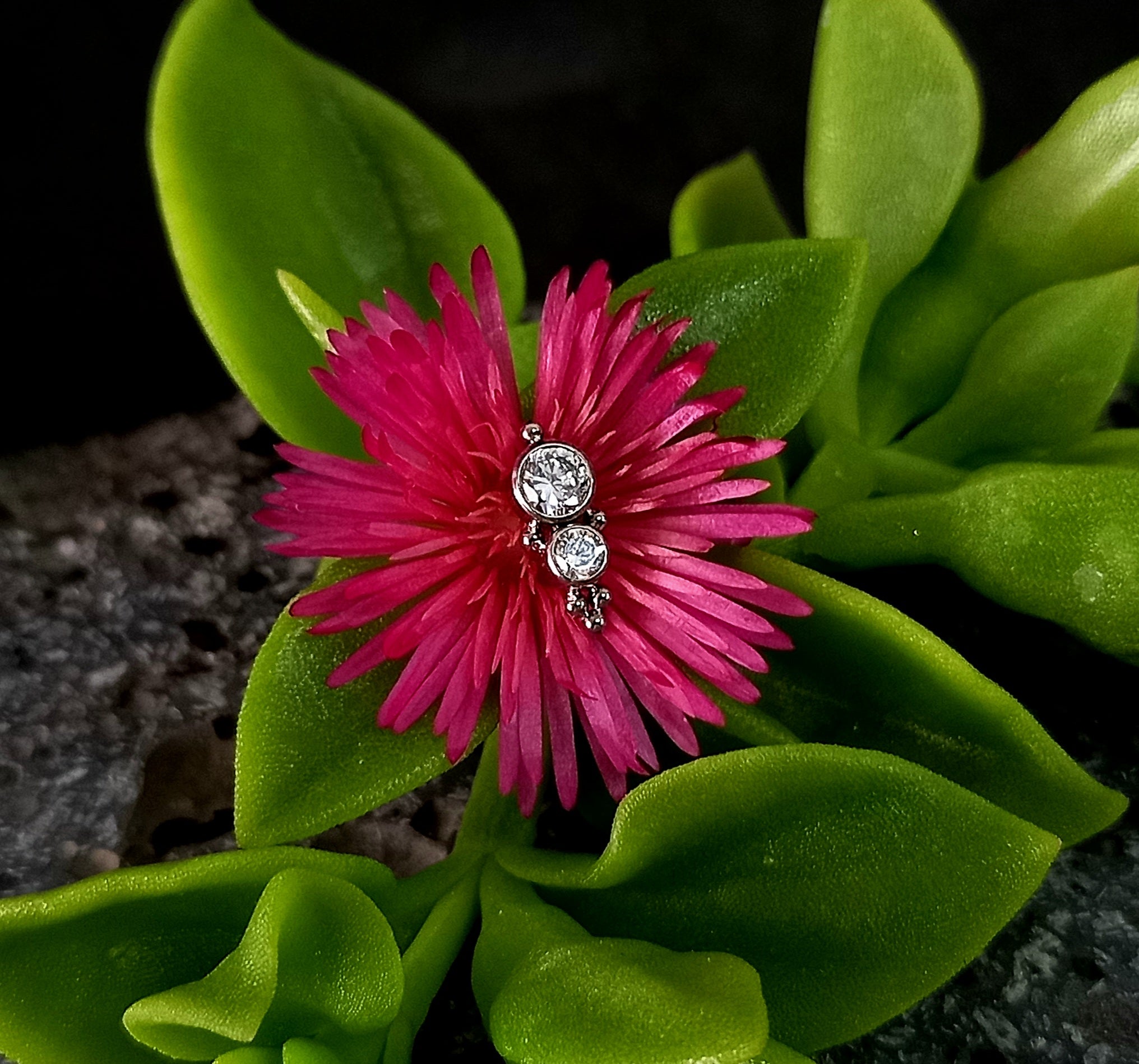 Doble brillo Cz con abalorios - titanio grado implante ASTM F-136