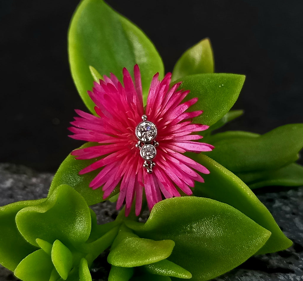 Doble brillo Cz con abalorios - titanio grado implante ASTM F-136