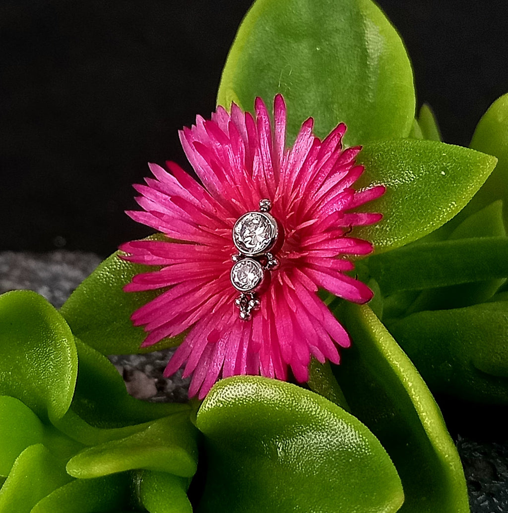 Doble brillo Cz con abalorios - titanio grado implante ASTM F-136