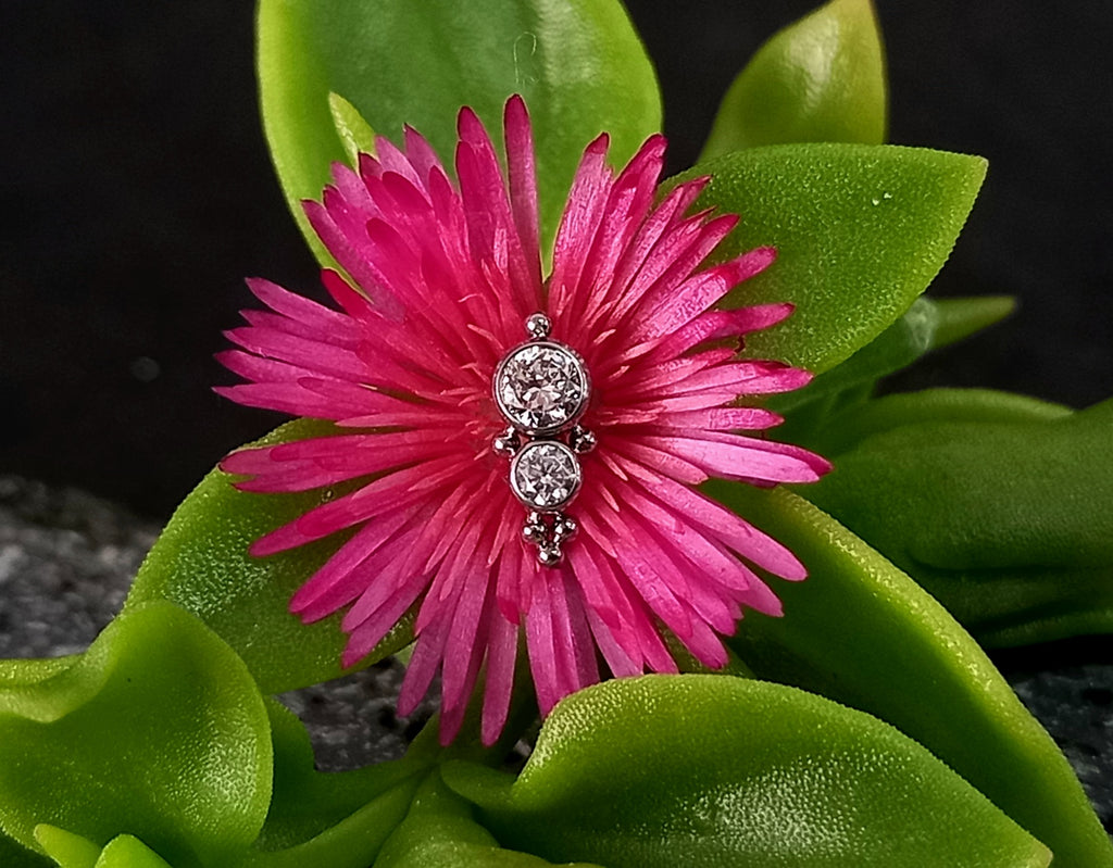 Doble brillo Cz con abalorios - titanio grado implante ASTM F-136