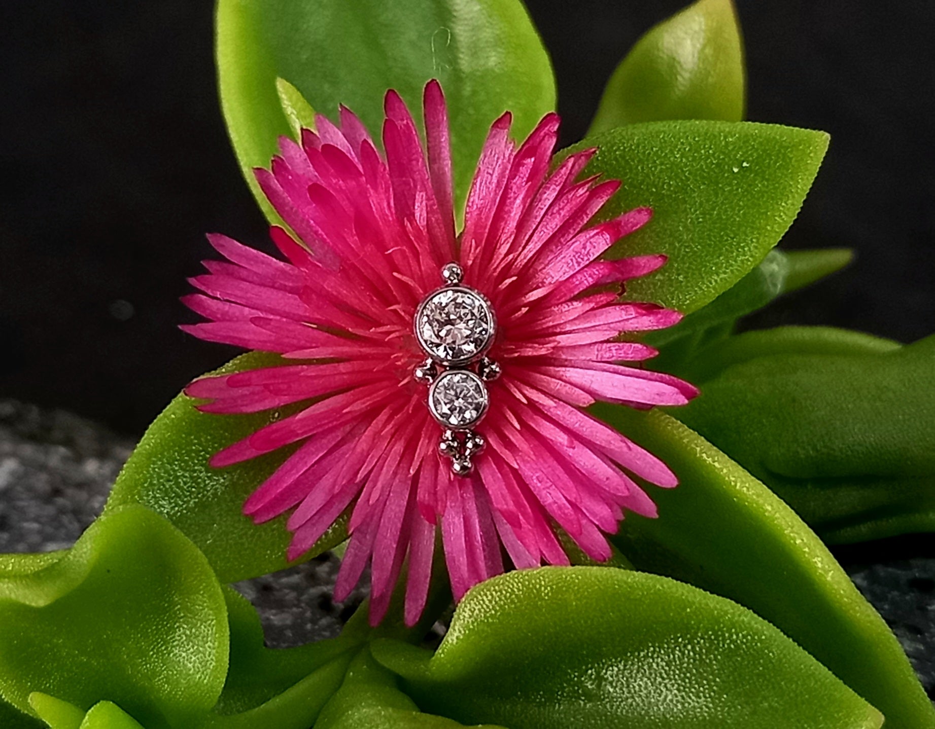 Doble brillo Cz con abalorios - titanio grado implante ASTM F-136