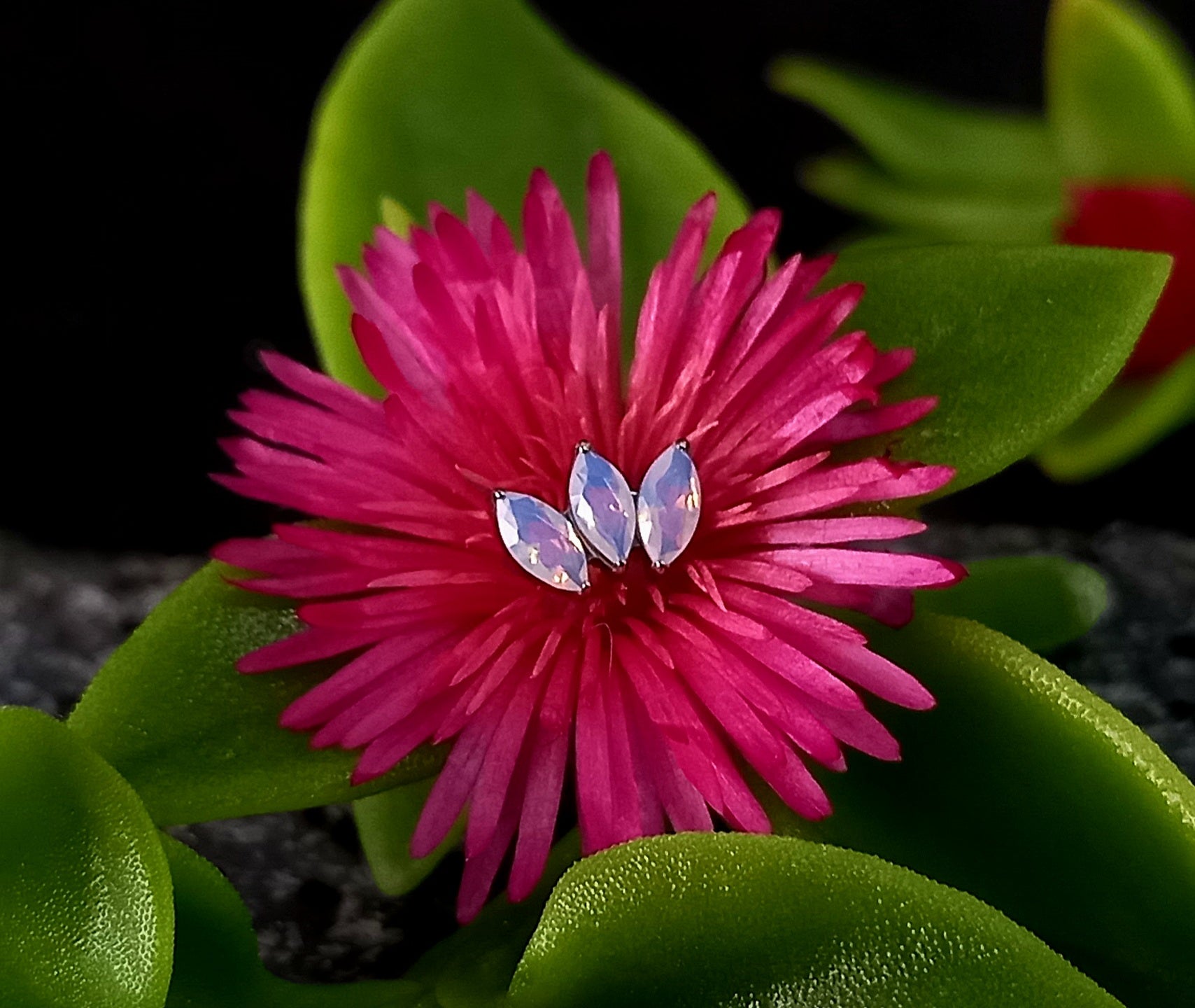 Marquesa ópalo - titanio grado implante ASTM F-136