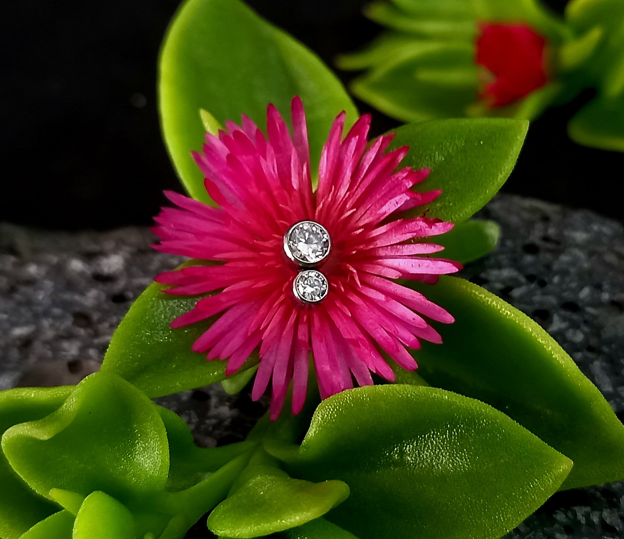 Doble brillo Cz - titanio grado implante ASTM F-136