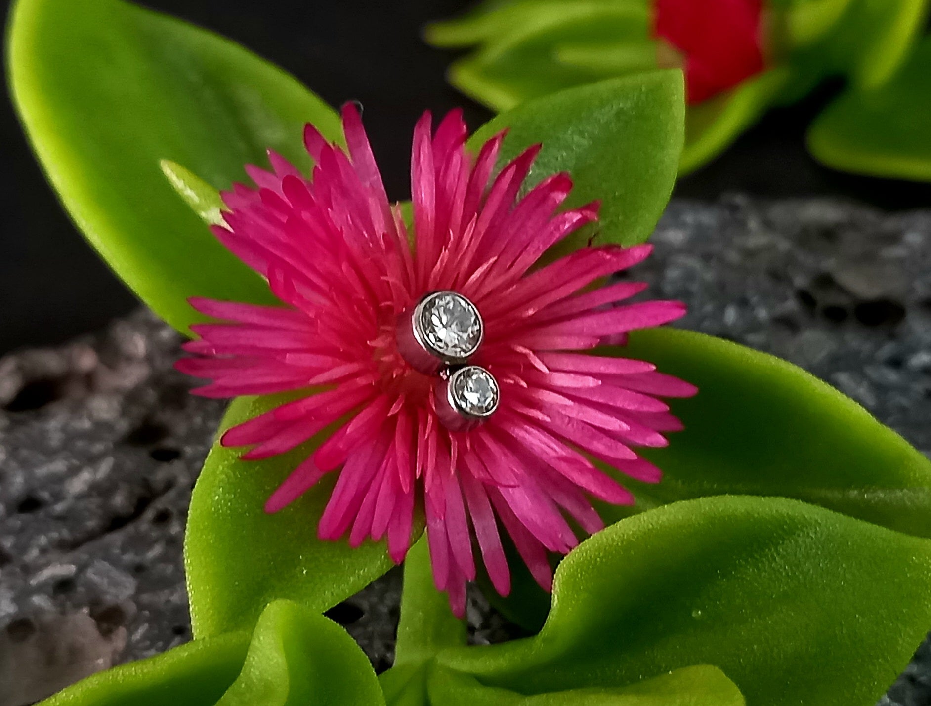 Doble brillo Cz - titanio grado implante ASTM F-136