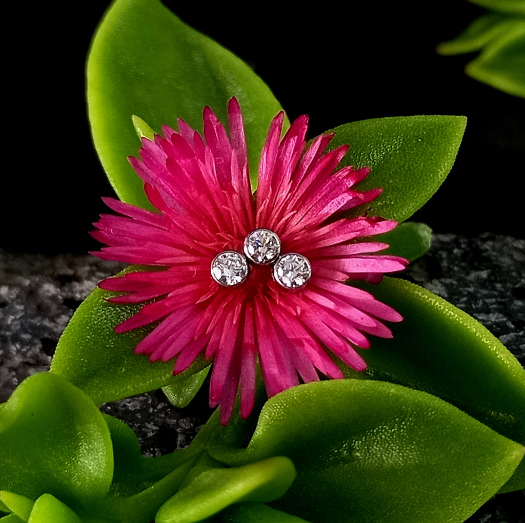 Trinity abierto clear - titanio grado implante ASTM F-136