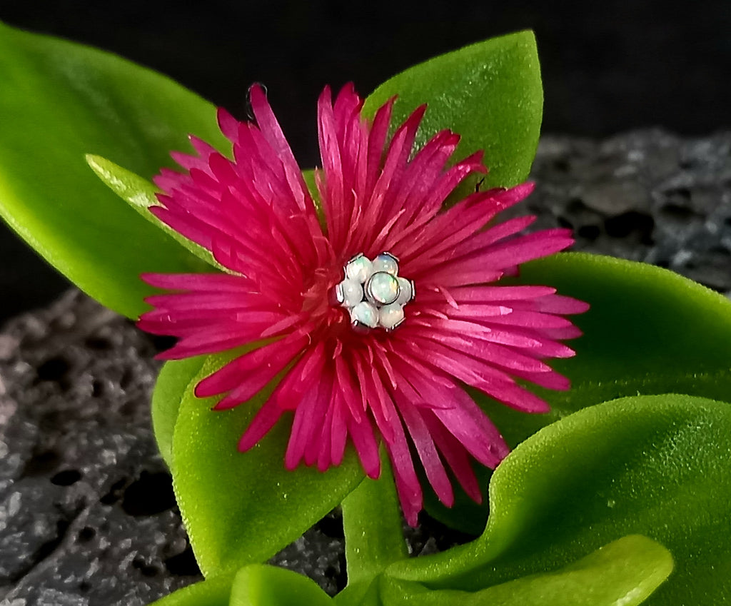Flor ópalo blanco  5 mm - titanio grado implante ASTM F-136