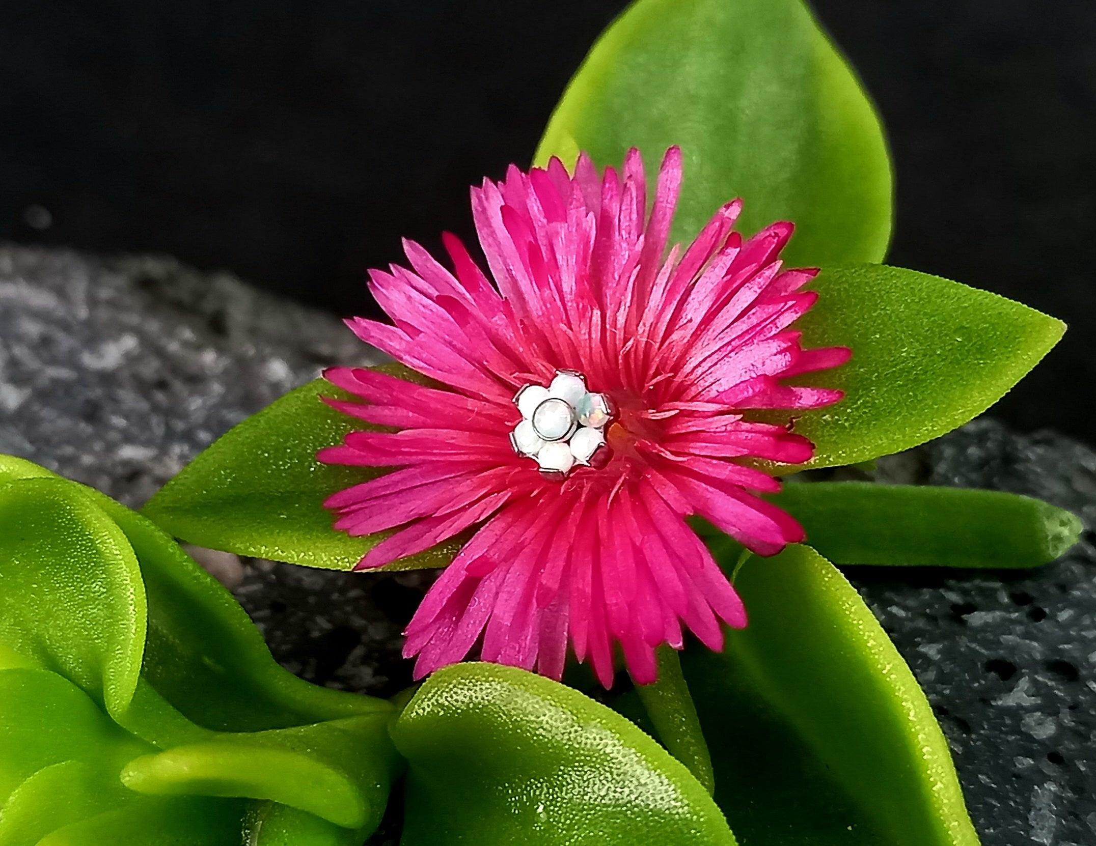 Flor ópalo blanco  5 mm - titanio grado implante ASTM F-136