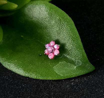 Titanio grado implante. Flor opalo rosa