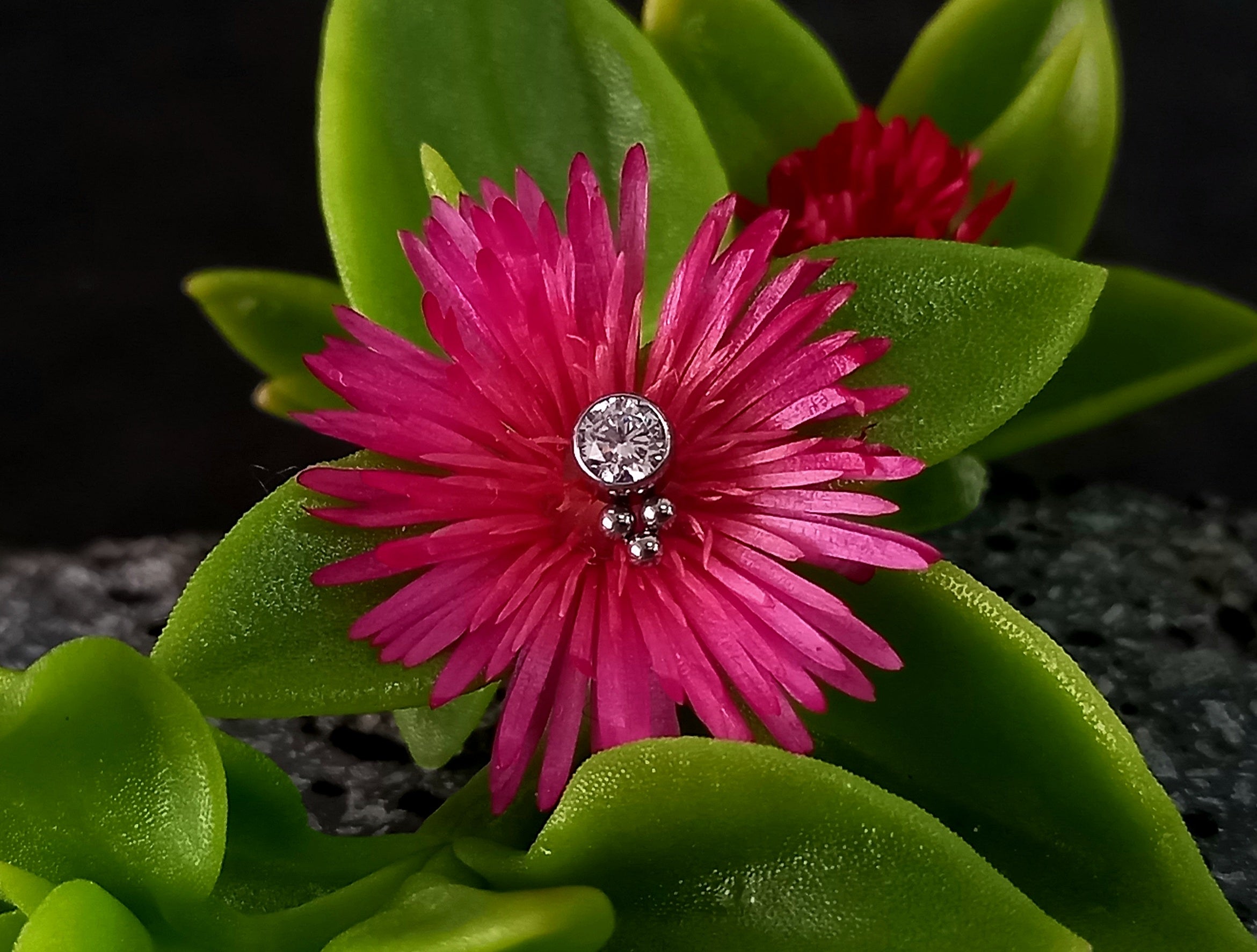 Brillo con trinity inferior - titanio grado implante ASTM F-136