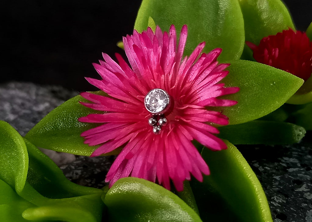 Brillo con trinity inferior - titanio grado implante ASTM F-136