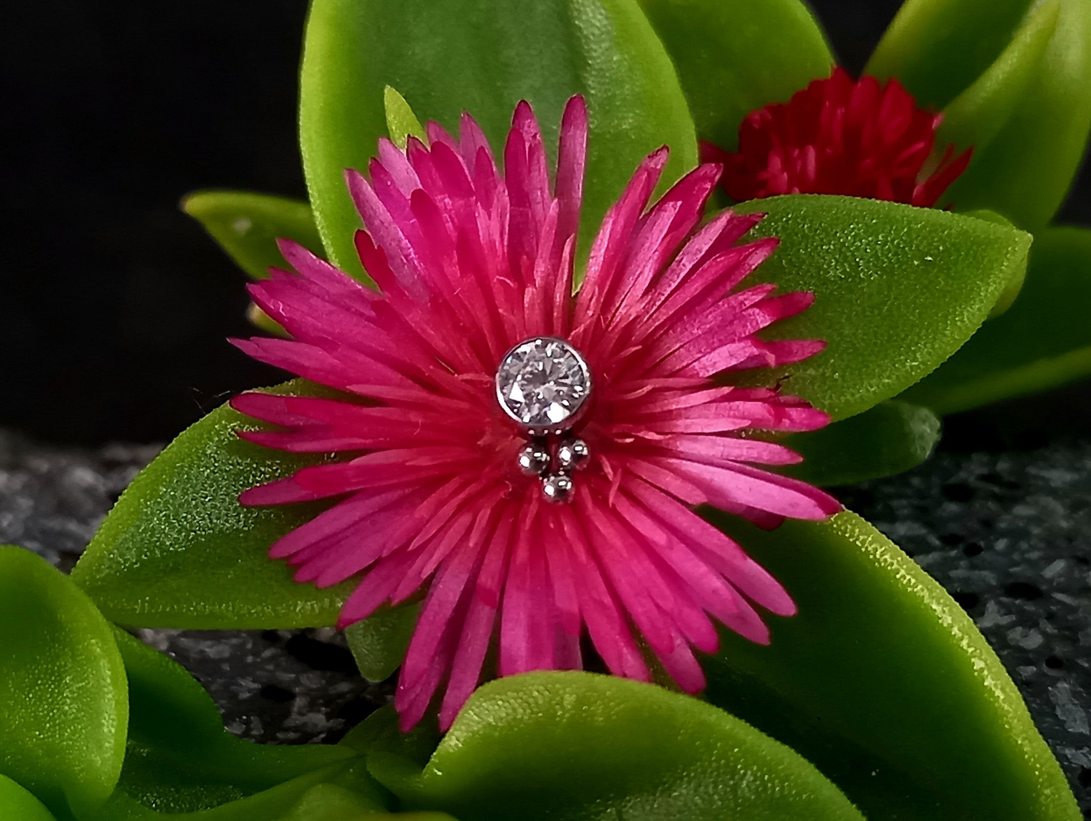 Brillo con trinity inferior - titanio grado implante ASTM F-136