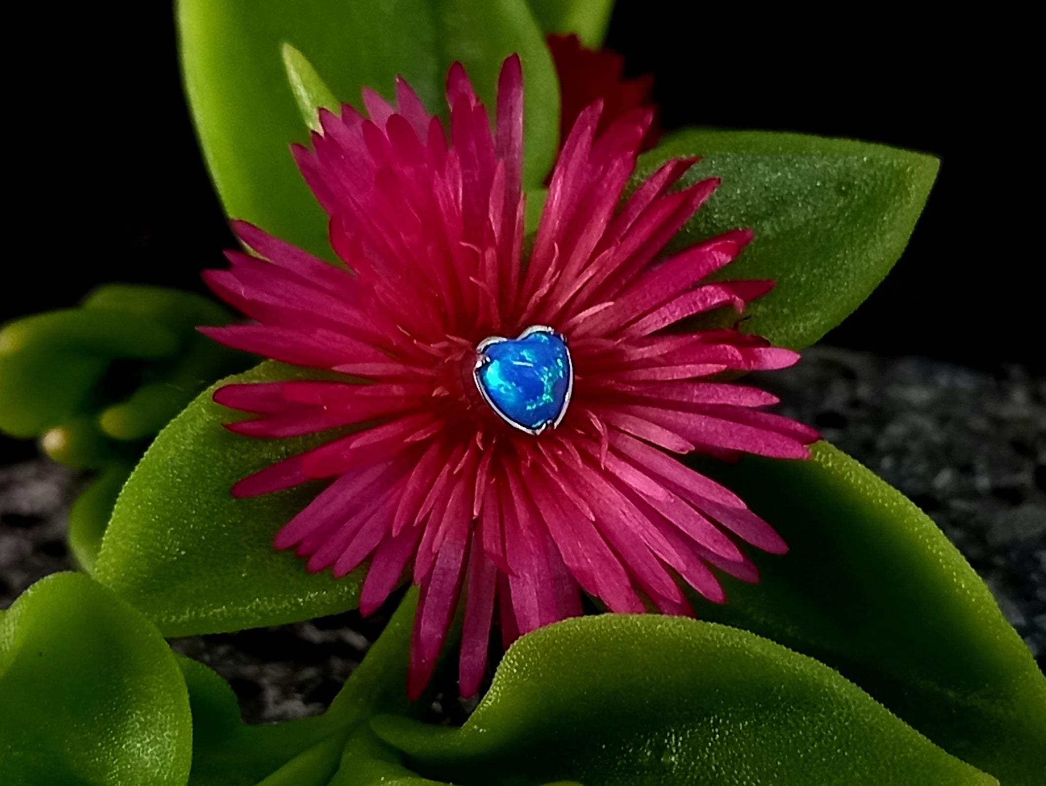 Corazón ópalo colores - titanio grado implante ASTM F-136